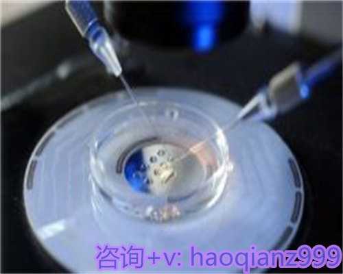 广州三代试管婴儿费用,广州荔湾区2026孕前检查免费政策更新！社区医院有免费券领